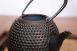 Nambu Ironware, Iron Kettle, HARINEZUMI (Hedgehog) 0.7L, Murasaki by Craftman Ryo Murakami