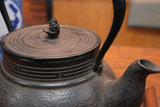 Nambu Ironware, Iron Kettle, HIRAKOSHIKI XL, MOKUREN (Magnolia) 2.8L, Shokado by Traditional Craftsman Shingo Kikuchi
