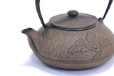 Nambu Ironware, 2-in-1 Iron kettle and teapot type, TSURU (CRANE), hisago color (aging paint), 0.5L