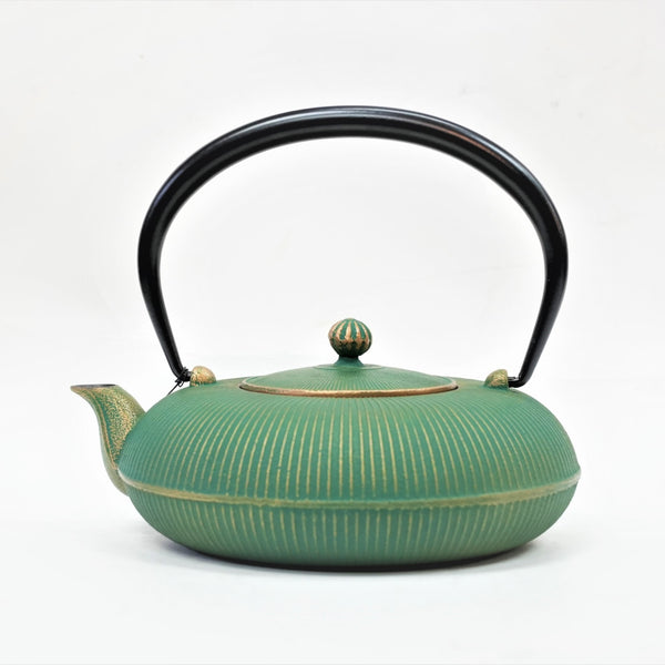 Nambu Ironware, 2-in-1 Iron kettle and teapot type, TATEME, SUMMER GRASS, 0.8L