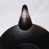 2-in-1 Cast iron kettle and teapot type, YIN AND YANG, Kurogane, 0.75L, Authentic Japanese Nambu Ironware Tetsubin