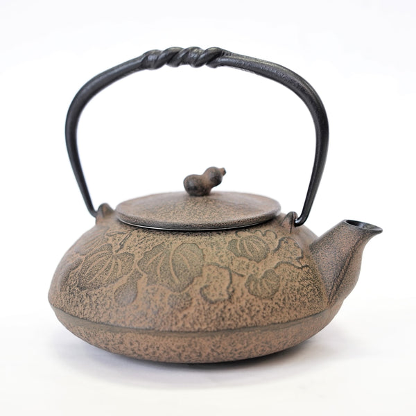 日本南部鐵器 二合一鐵瓶兼用茶壺型 葫蘆 0.5L