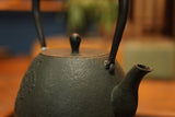 Nanbu Ironware Iron Kettle “Blue Lace Flower” 1.1L By Studio Nanohana, Nami Sasaki