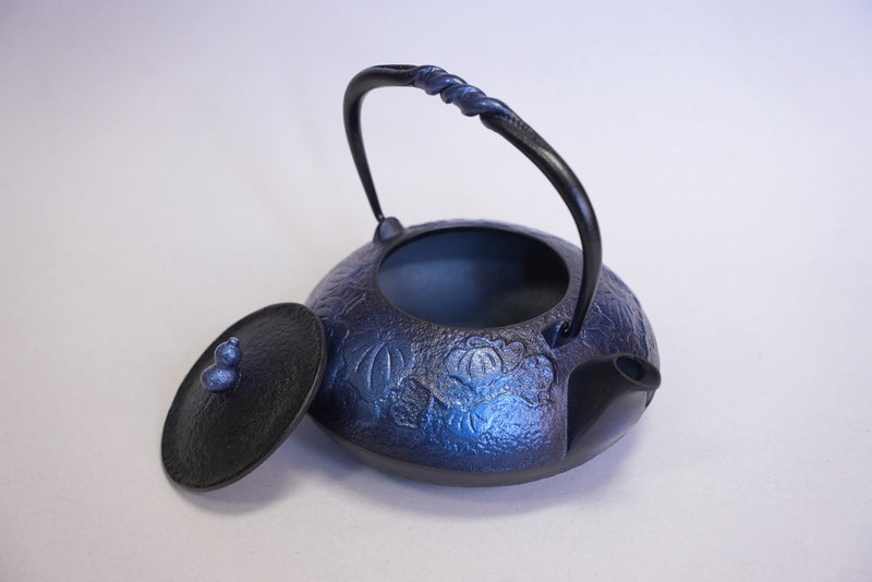 Nambu المشغولات الحديدية, غلاية حديدية - نوع ابريق شاي (ثنائي الاتجاه), HISAGO, bright blue, 0.5L