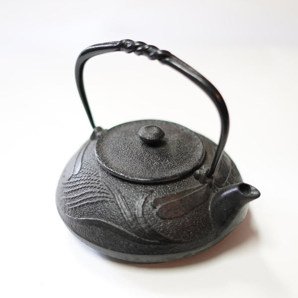 日本南部鐵器 二合一鐵瓶兼用茶壺型 蜻蜓 黑色 0.5L