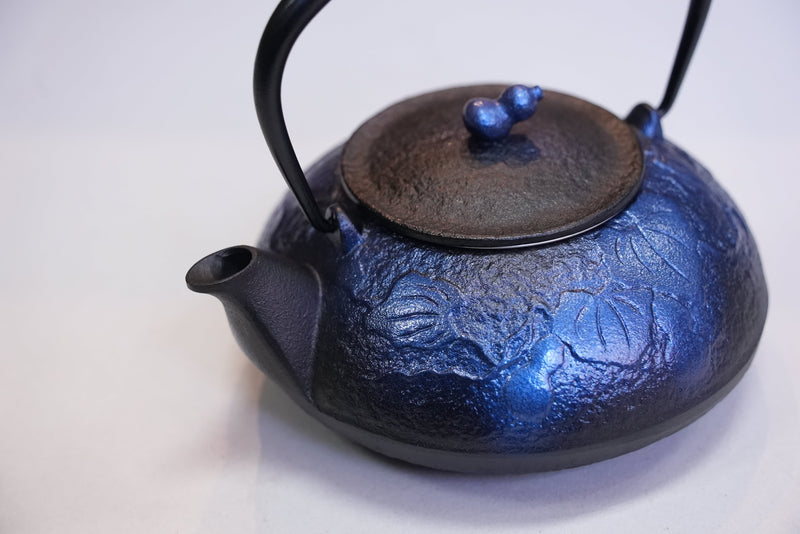 Nambu المشغولات الحديدية, غلاية حديدية - نوع ابريق شاي (ثنائي الاتجاه), HISAGO, bright blue, 0.5L