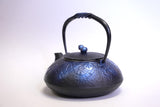 Nambu المشغولات الحديدية, غلاية حديدية - نوع ابريق شاي (ثنائي الاتجاه), HISAGO, bright blue, 0.5L