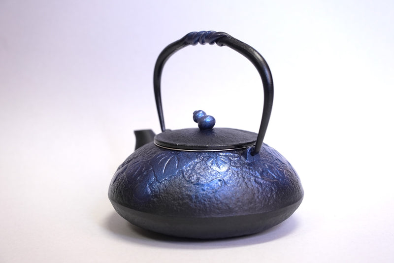 Nambu المشغولات الحديدية, غلاية حديدية - نوع ابريق شاي (ثنائي الاتجاه), HISAGO, bright blue, 0.5L