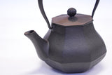 日本南部鐵器 二合一鐵瓶兼用茶壺型 雅 黑色 0.4L
