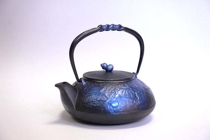 Nambu المشغولات الحديدية, غلاية حديدية - نوع ابريق شاي (ثنائي الاتجاه), HISAGO, bright blue, 0.5L