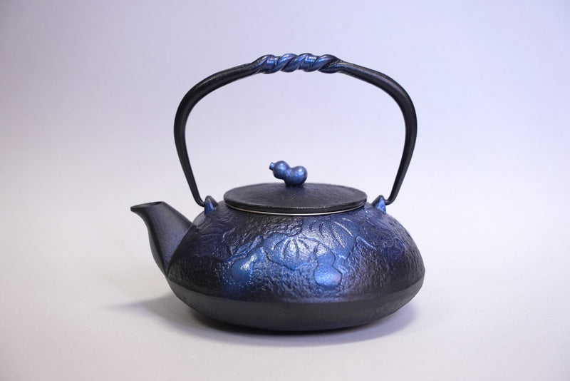 Nambu المشغولات الحديدية, غلاية حديدية - نوع ابريق شاي (ثنائي الاتجاه), HISAGO, bright blue, 0.5L