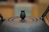 日本南部鐵器 鐵瓶 變算珠霰 黑色 1.8L