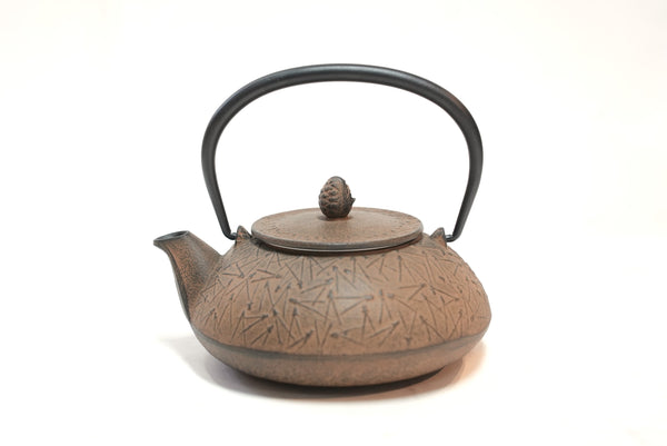 Hot sale Cast iron pot uncoated iron teapot southern Japan