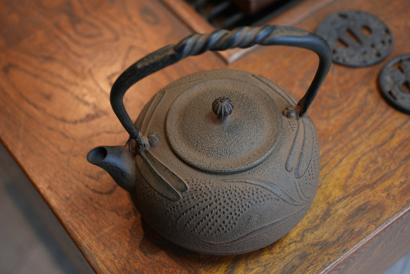 Nambu Ironware, Iron Kettle, DRAGONFLY, hisago color (aging paint)  1.2L
