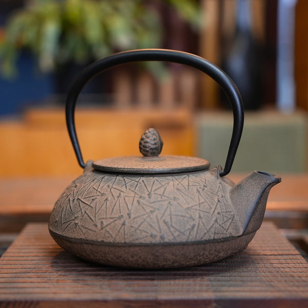 Nambu Ironware, 2-in-1 Iron kettle and teapot type, MATSUBA (PINE NEEDLE), hisago color (aging paint), 0.5L