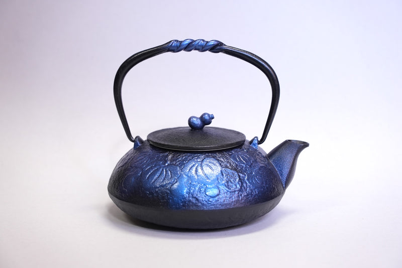 Nambu المشغولات الحديدية, غلاية حديدية - نوع ابريق شاي (ثنائي الاتجاه), HISAGO, bright blue, 0.5L