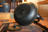 Nambu Ironware, Iron Kettle, SHIN-HOUJYU TSUBAKI(Camellia), 2.0L, Shokado  by Traditional Craftsman Shingo Kikuchi