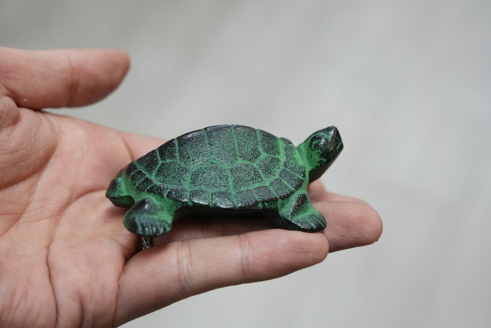 Authentic Japanese Nambu Ironware - Tekki, Paperweight Kame(Turtle