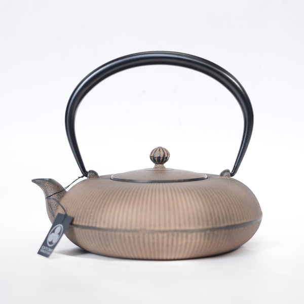 Nambu Ironware, 2-in-1 Iron kettle and teapot type, TATEME, hisago color (aging paint), 0.8L