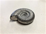 Authentic Japanese Nambu Ironware, Ammonite-shaped iron ingot for cooking to combat iron deficiency