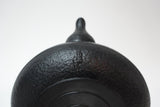 Cast Iron Kettle-Testubin, HISAGO (Gourd), azure, 1.2L, Authentic Japanese Nambu Ironware