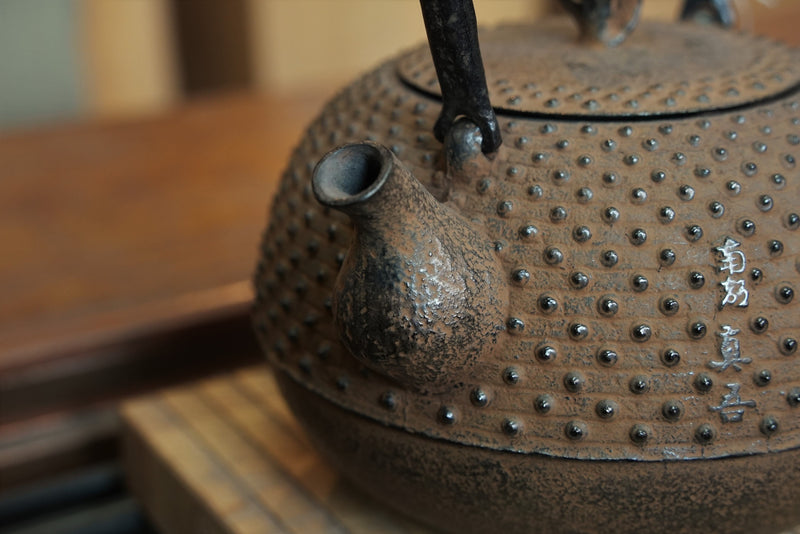 Nambu Ironware, Iron Kettle, MARUGATA-KAI (Conch) ARARE, 1.1L, Shokado  by Traditional Craftsman Shingo Kikuchi