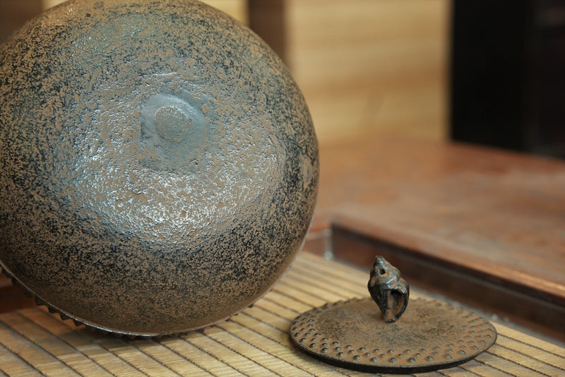 Nambu Ironware, Iron Kettle, MARUGATA-KAI (Conch) ARARE, 1.1L, Shokado  by Traditional Craftsman Shingo Kikuchi