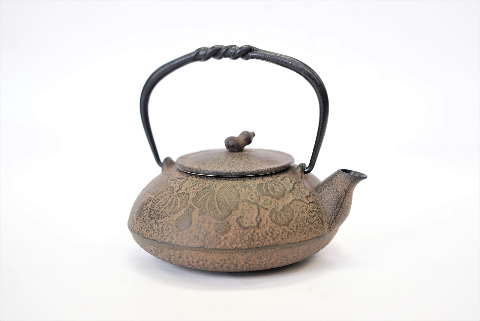 2-in-1 Cast iron kettle and teapot type, HISAGO, 0.5L, Authentic Japanese  Nambu Ironware Tetsubin – OITOMI