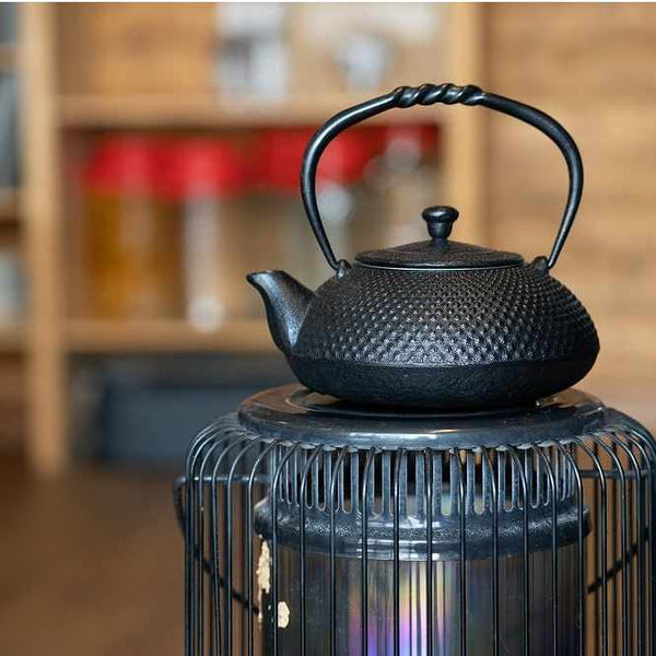 2-in-1 Cast iron kettle and teapot type, HISAGO, 0.5L, Authentic Japanese  Nambu Ironware Tetsubin – OITOMI
