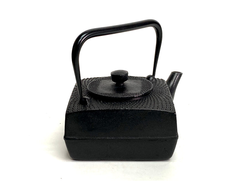 Nambu Ironware, 2-in-1 Iron kettle and teapot type, SQUARE ARARE, STARRY  NIGHT, 0.6L