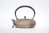 Nambu Ironware, 2-in-1 Iron kettle and teapot type, TATEME, hisago color (aging paint), 0.8L