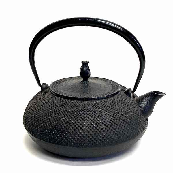 HwaGui Japanese Tetsubin Cast Iron Kettle, Cast Iron Teapot with Stainless  Steel Infuser for Loose Leaf Tea, Teapot Coated with Enameled Interior